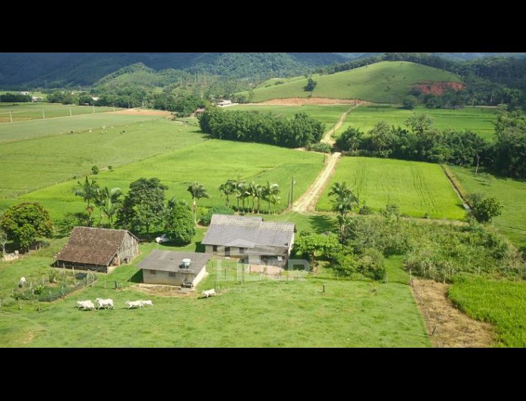 Imóvel Rural em Ascurra com 72000 m² - 5954