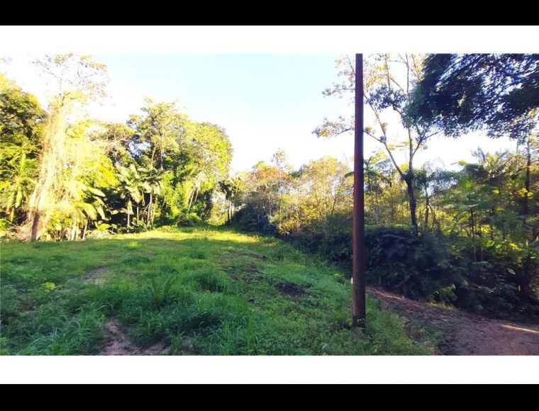 Imóvel Rural em Benedito Novo com 42000 m² - 590301027-52