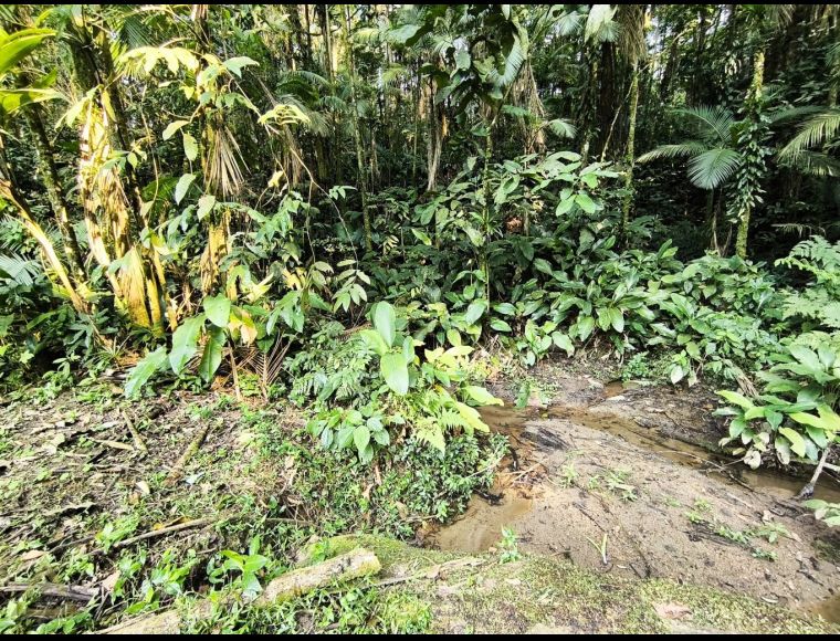 Imóvel Rural no Bairro Vila Itoupava em Blumenau com 4022 m²