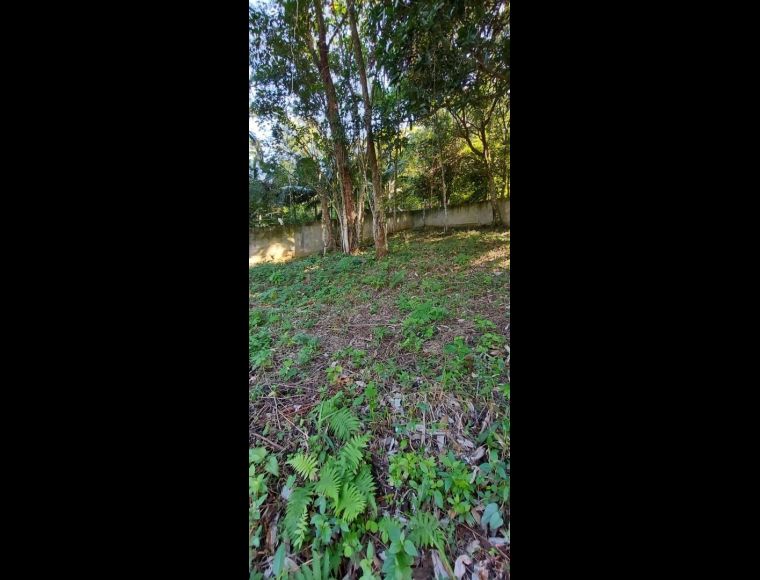 Terreno no Bairro Escola Agrícola em Blumenau com 728.7 m² - 5810281