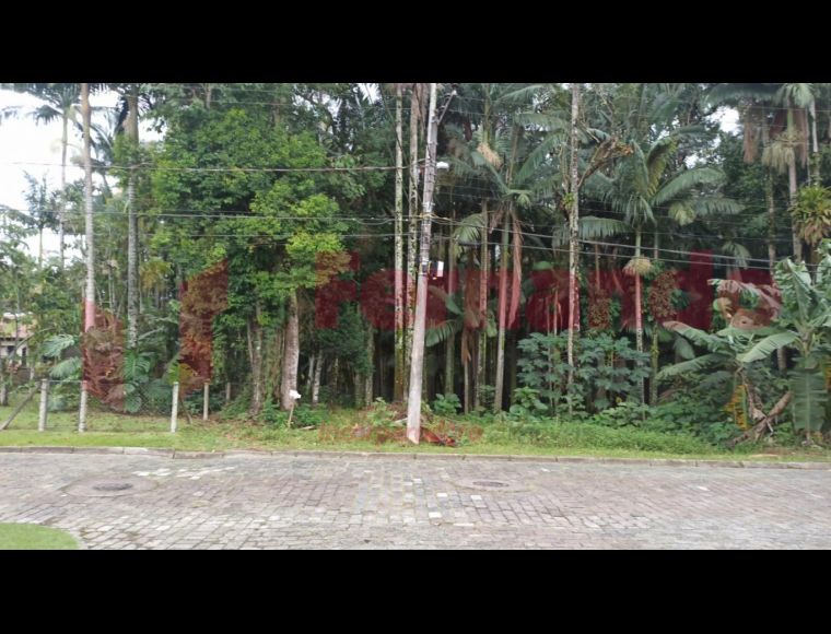 Terreno no Bairro Itoupava Seca em Blumenau com 450 m² - 5200009