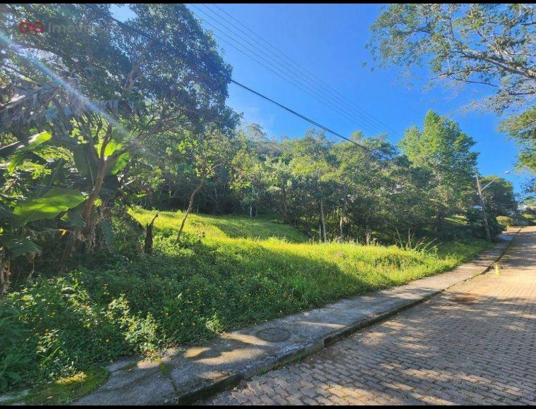 Terreno no Bairro Córrego Grande em Florianópolis com 1200 m² - TE0081