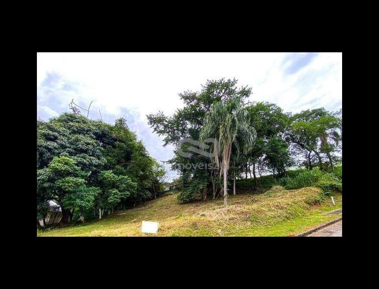 Terreno no Bairro Córrego Grande em Florianópolis com 700 m² - TE0068