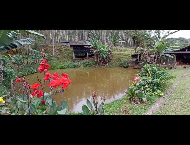 Imóvel Rural no Bairro Rio Bonito em Joinville - 22833
