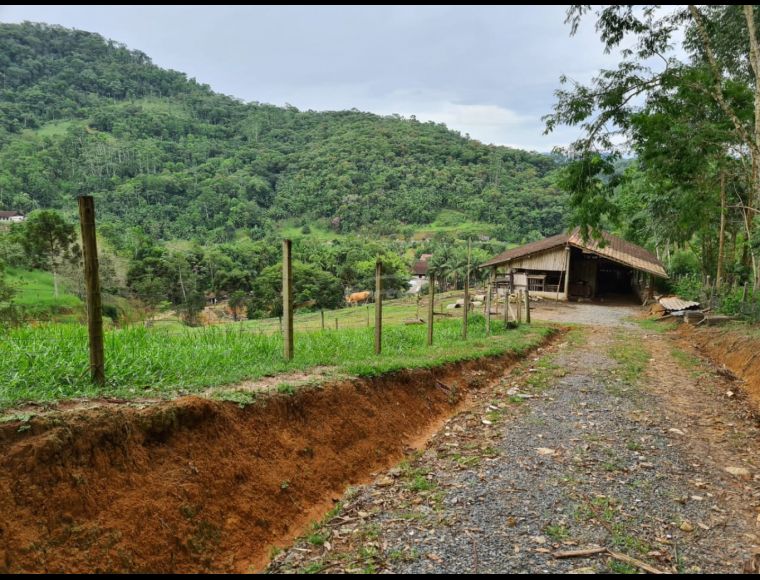 Imóvel Rural no Bairro Ribeirão Souto em Pomerode com 49000 m² - 35711299