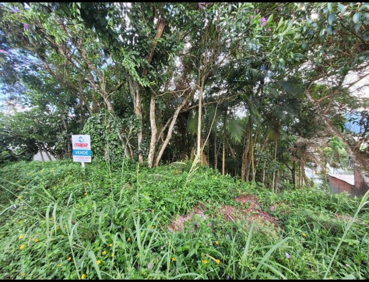 Terreno no Bairro Quintino em Timbó - 9799