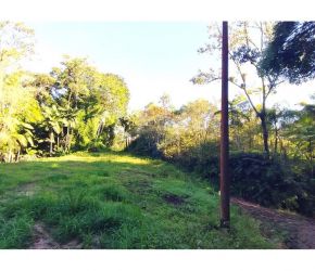 Imóvel Rural em Benedito Novo com 42000 m² - 590301027-52