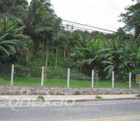 Terreno no Bairro Ribeirão Fresco em Blumenau com 6886.17 m² - 3310304