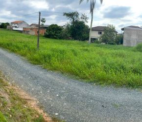 Terreno no Bairro Figueira em Gaspar com 12142 m² - 1174