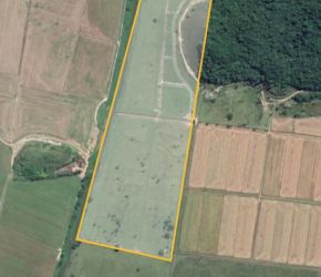 Terreno em Ilhota com 249061.79 m² - PL17