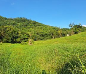 Imóvel Rural no Bairro Polaquia em Indaial com 24010 m² - 5611221