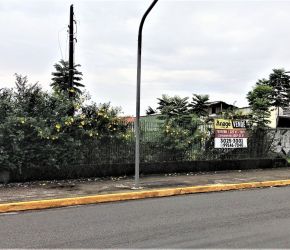 Terreno no Bairro Anita Garibaldi em Joinville - 20411N