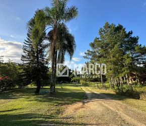 Imóvel Rural no Bairro Testo Alto em Pomerode com 2500 m² - 6688595