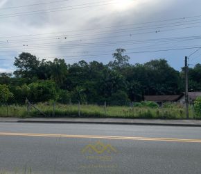 Terreno no Bairro Testo Central em Pomerode com 1569.04 m² - 5730013