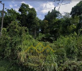 Terreno no Bairro Testo Central Alto em Pomerode com 1142.4 m² - 5730023