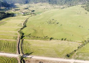 Imóvel Rural em Doutor Pedrinho com 3 Dormitórios e 440000 m² - SI0031
