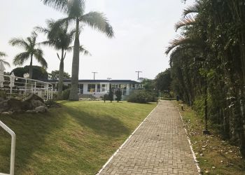 Apartamento no Bairro Campeche em Florianópolis com 2 Dormitórios (1 suíte) e 78 m² - 20483