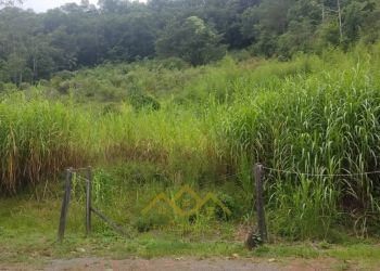 Terreno no Bairro Testo Central Alto em Pomerode com 2500 m² - 5730028