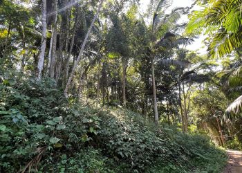 Terreno no Bairro WunderWald em Pomerode - 353